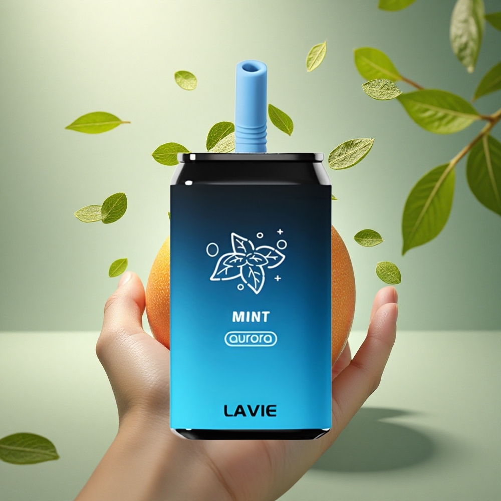 Lavie Aurora 11000 Puffs Mėta Šviesa 22ML 650mAh