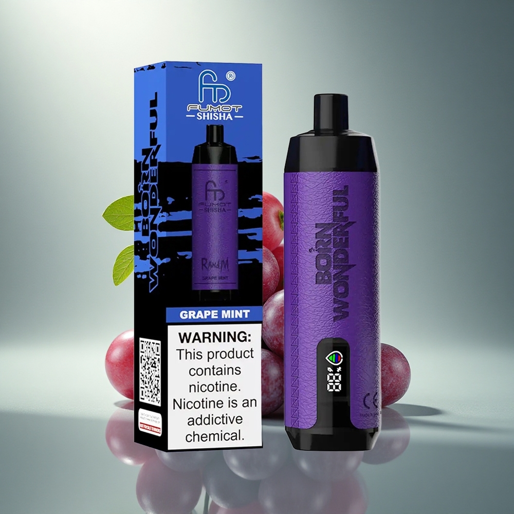 RandM Fumot Shisha 10000 Puffs Vynuogių Mėta su 18ml ir 0,6Ω Tinklelio Apvija