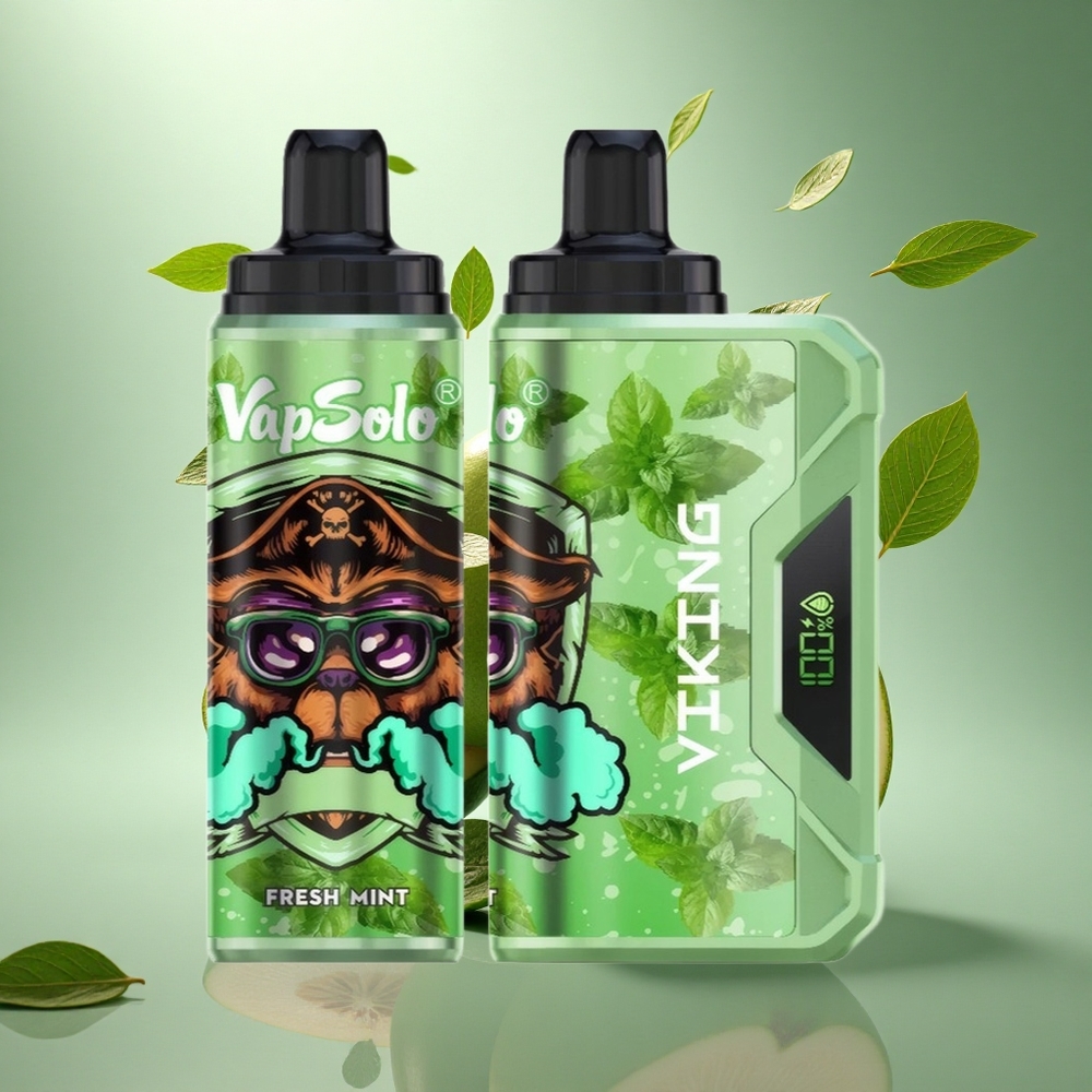 VapSolo VIKING 12000 Puffs Šviežios Mėtos Tipo-C 22ml 20mg